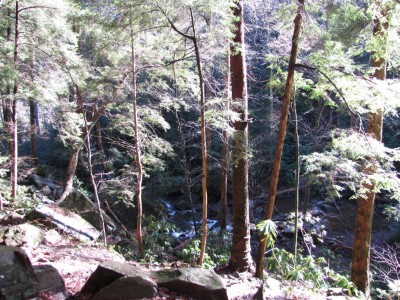 Trip to Fall Creek Falls Feb 1, 2012 1100