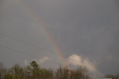 Wesley, Rainbow, Afternoon Rain 008