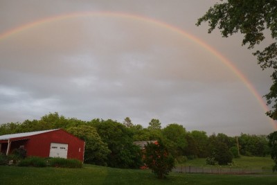 The expanding, brightening rainbow.