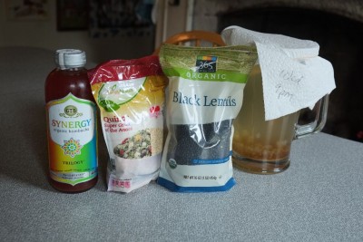 Quinoa, Lentils, Kombucha, and Kefir Water 001