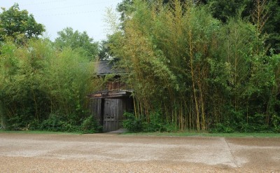 Entrance to McCarty Pottery in Uncle Albert's Barn, Merigold, Mississippi