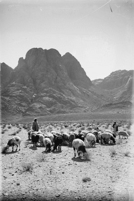 Mount Horeb in Israel, Courtesy Library of Congress