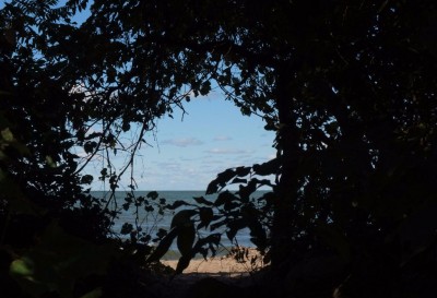 A Peek at Lake Erie