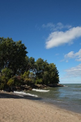 Lake Erie Shore