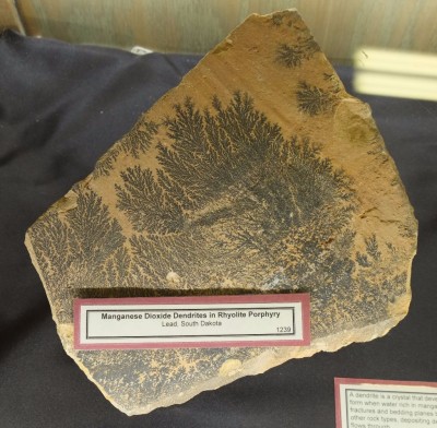 manganese-dioxide-dendrites-in-rhyolite-porphyry-from-lead-south-dakota