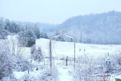 snow-and-clara-pix-011
