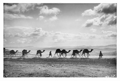 Camel Caravan. Courtesy Library of Congress.