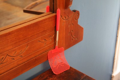 Actually, I left our cheaply-made retractable flyswatter at home, so we used a book to "swat a fly," which represented a time to kill.