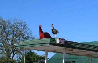 Dinosaur and Rooster on the Roof