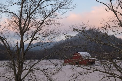 Winter Morning in Tennessee